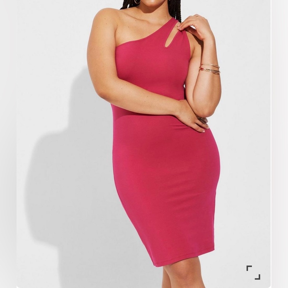 🆕NWT🔖Torrid Sexy Mini Bodycon Dress - 2x